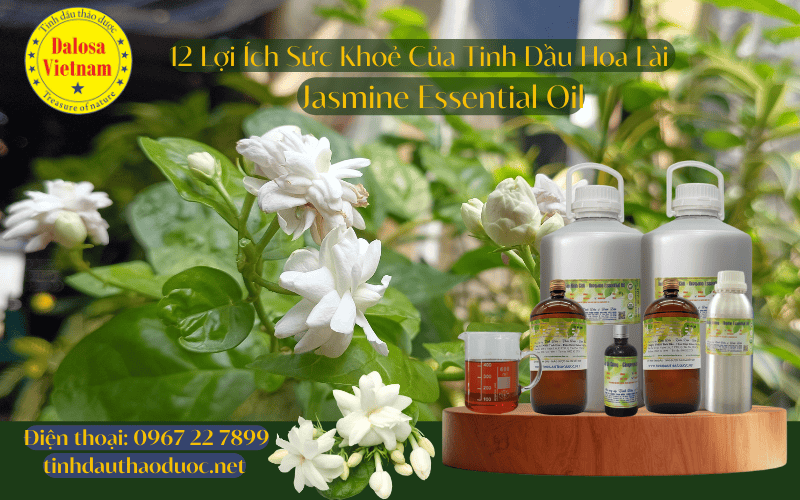 12-loi-ich-suc-khoe-cua-tinh-dau-hoa-lai-hoa-nhai-jasmine-essential-oil
