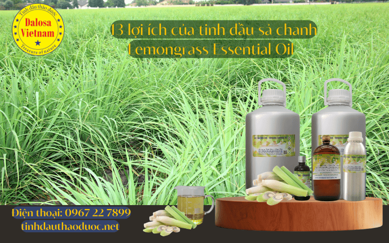 13-loi-ich_-cua-tinh-dau-sa-chanh-lemongrass-essential-oil