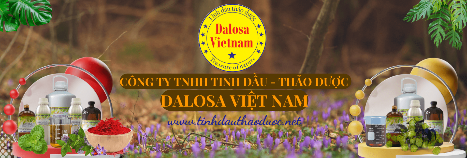 gioi-thieu-dalosa-viet-nam