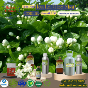 Tinh Dầu Hoa Lài - Nhài - Jasmine Essential Oil 1 lít