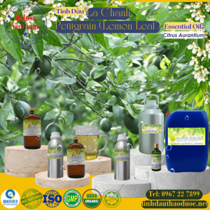 Tinh Dầu Lá Chanh - Petitgrain Essential Oil 1 lít