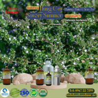 tinh-dau-hung-cay-savory-summer-essential-oil-1-lit - ảnh nhỏ  1