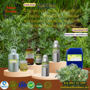 Tinh Dầu Ngải Đắng  - Artemisia Absinthium Oil 1 Lít