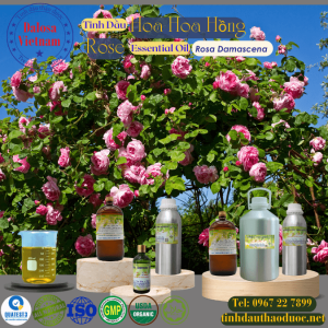 Tinh Dầu Hoa Hồng - Rose Essential Oil 1 lít