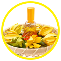 9 Lợi Ích Kỳ Diệu Của Tinh Dầu Ngọc Lan Tây  - Ylang Ylang