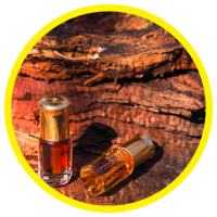 11 Lợi Ích Cho Sức Khỏe Của Tinh Dầu Gỗ Đàn Hương - Sandalwood