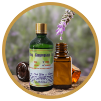 Quá Trình Hình Thành & Những Thành Tựu Của Dalosa Vietnam 2010 - 2022