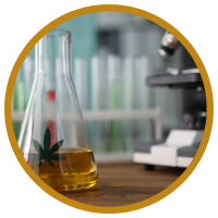 Chiết xuất tinh dầu bằng công nghệ CO2 siêu tới hạn